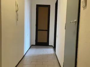 Pronájem bytu 2+1, Břeclav, Fintajslova, 53 m2