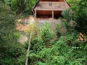 Pronájem chaty, Olešná, 55 m2