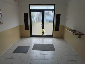 Prodej bytu 3+1, Žatec, U Jezu, 78 m2