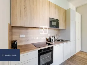 Pronájem bytu 1+kk, Praha - Bubeneč, Veletržní, 31 m2