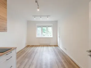 Pronájem bytu 1+kk, Praha - Michle, Hanusova, 28 m2
