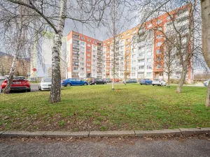 Prodej bytu 1+1, Lovosice, Vodní, 37 m2