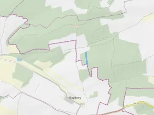 Prodej lesa, Blížejov - Lštění, 6627 m2