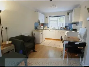 Pronájem bytu 1+1, Praha - Nové Město, Vladislavova, 40 m2