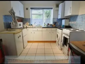 Pronájem bytu 1+1, Praha - Nové Město, Vladislavova, 40 m2