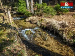 Prodej chalupy, Desná - Desná III, Polubenská, 248 m2