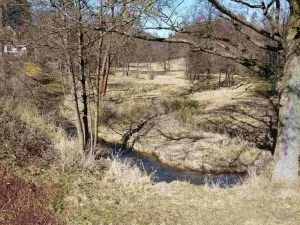 Prodej pozemku, Vernéřovice, 18464 m2