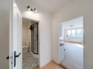 Pronájem bytu 1+kk, Český Těšín, Čáslavská, 32 m2