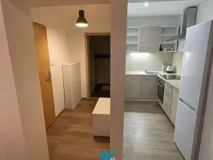 Pronájem bytu 1+kk, Ústí nad Labem, Bratislavská, 45 m2