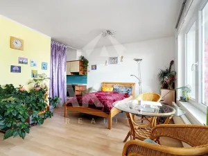 Prodej bytu 1+kk, Praha - Hloubětín, Nademlejnská, 37 m2