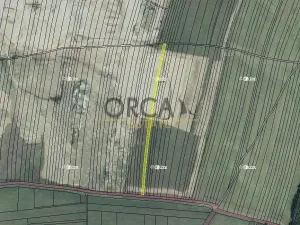 Prodej pozemku, Žabčice, 10011 m2