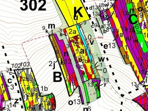 Dražba lesa, Koloveč, 703 m2