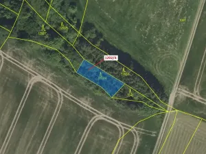 Dražba lesa, Čestín, 356 m2