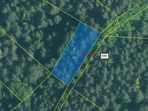 Dražba lesa, Kuřimany, 713 m2