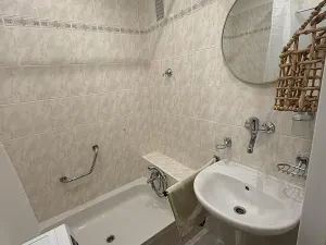 Pronájem bytu 1+1, Brumov-Bylnice, Am. Kutinové, 38 m2