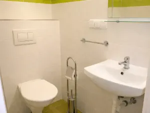 Pronájem bytu 1+kk, Praha - Žižkov, Fibichova, 25 m2