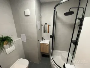 Pronájem bytu 2+1, Plzeň, Lobezská, 46 m2