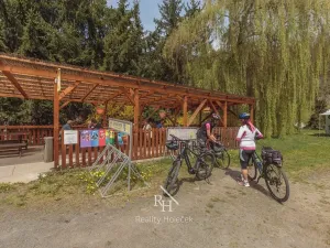 Prodej rodinného domu, Městečko, 230 m2