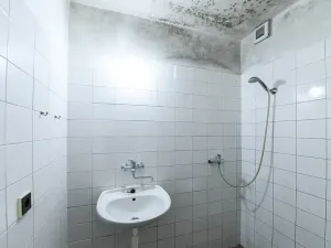 Prodej činžovního domu, Praha - Žižkov, Vlkova, 457 m2