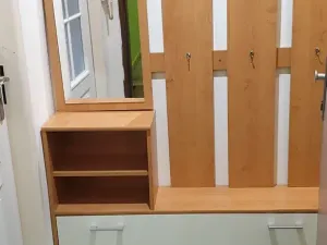 Pronájem bytu 1+kk, Novosedlice, Drahénská, 30 m2