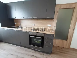 Pronájem bytu 1+kk, Brno, Plotní, 49 m2