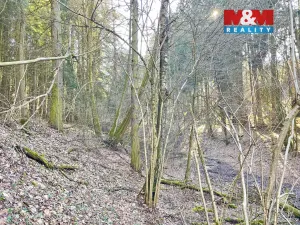 Prodej lesa, Dolní Dobrouč - Lanšperk, 4113 m2