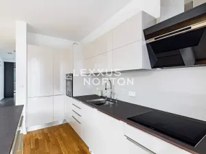 Pronájem rodinného domu, Praha - Dejvice, V Šáreckém údolí, 190 m2