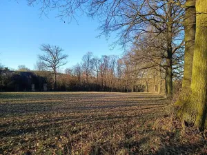 Prodej zemědělské usedlosti, Šebířov, 120 m2