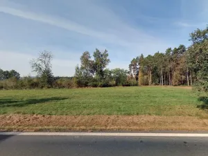 Prodej lesa, Luženičky, 15277 m2