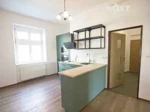 Prodej bytu 1+1, Tábor, Vítkova, 48 m2