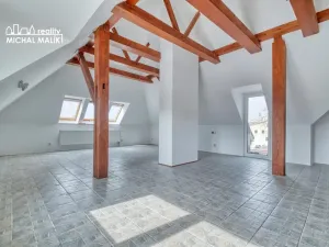 Pronájem bytu 3+kk, Hranice, Kropáčova, 142 m2