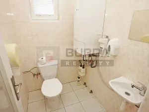 Pronájem kanceláře, Neratovice, 514 m2