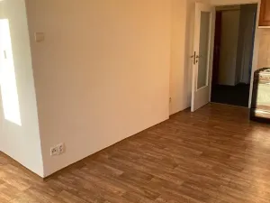 Pronájem bytu 2+kk, Praha - Vysočany, Freyova, 49 m2