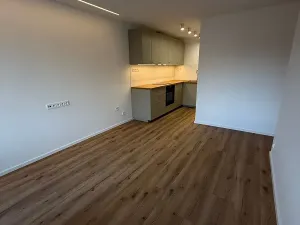 Pronájem bytu 2+kk, Teplice, Trnovanská, 41 m2