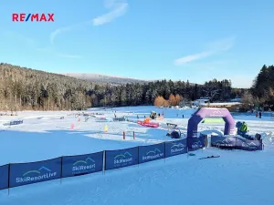 Prodej bytu 1+kk, Janské Lázně, Modrokamenná, 32 m2