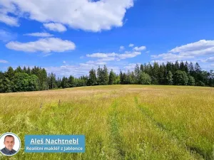 Prodej pozemku, Zásada, 2647 m2