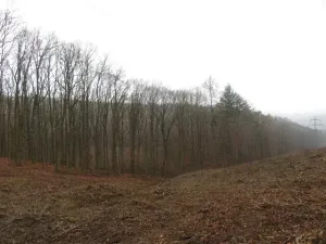 Dražba pole, Fryšták, 2164 m2