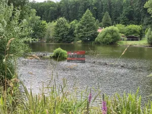 Prodej zahrady, Sezimovo Ústí, 433 m2