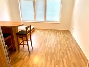 Pronájem bytu 1+kk, Brno, Přadlácká, 31 m2