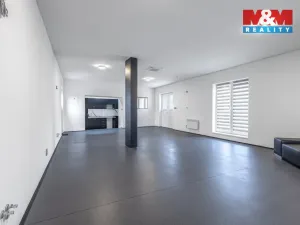 Pronájem obchodního prostoru, Mělník, Panešova, 65 m2