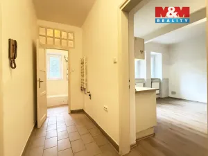 Pronájem bytu 1+kk, Plzeň - Jižní Předměstí, Němejcova, 33 m2