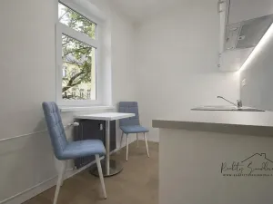 Pronájem bytu 1+1, Přerov, Husova, 29 m2