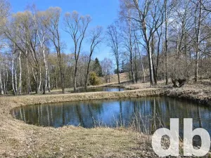 Prodej rybníku, Toužim, 5506 m2