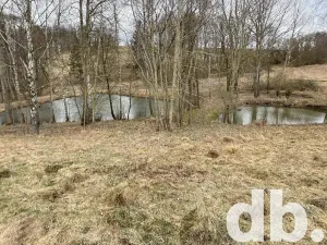 Prodej rybníku, Toužim, 5506 m2