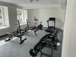 Pronájem bytu 1+kk, Praha - Vinohrady, Perucká, 25 m2