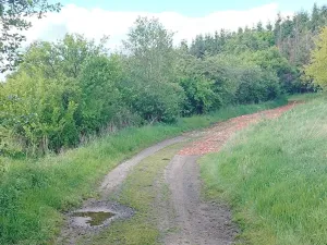 Pronájem chalupy, Mladý Smolivec, 65 m2