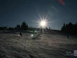 Prodej pozemku pro bydlení, Kraslice, Pod lesem, 630 m2