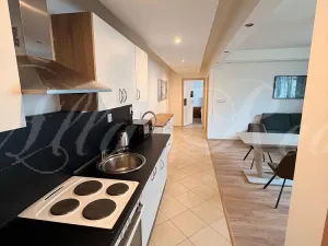 Pronájem bytu 2+kk, Brno - Královo Pole, Rostislavovo náměstí, 58 m2