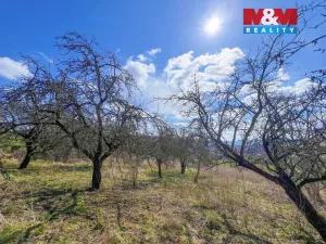 Prodej pole, Sušice - Sušice II, 5140 m2