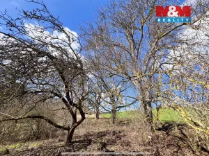 Prodej pole, Sušice - Sušice II, 5140 m2